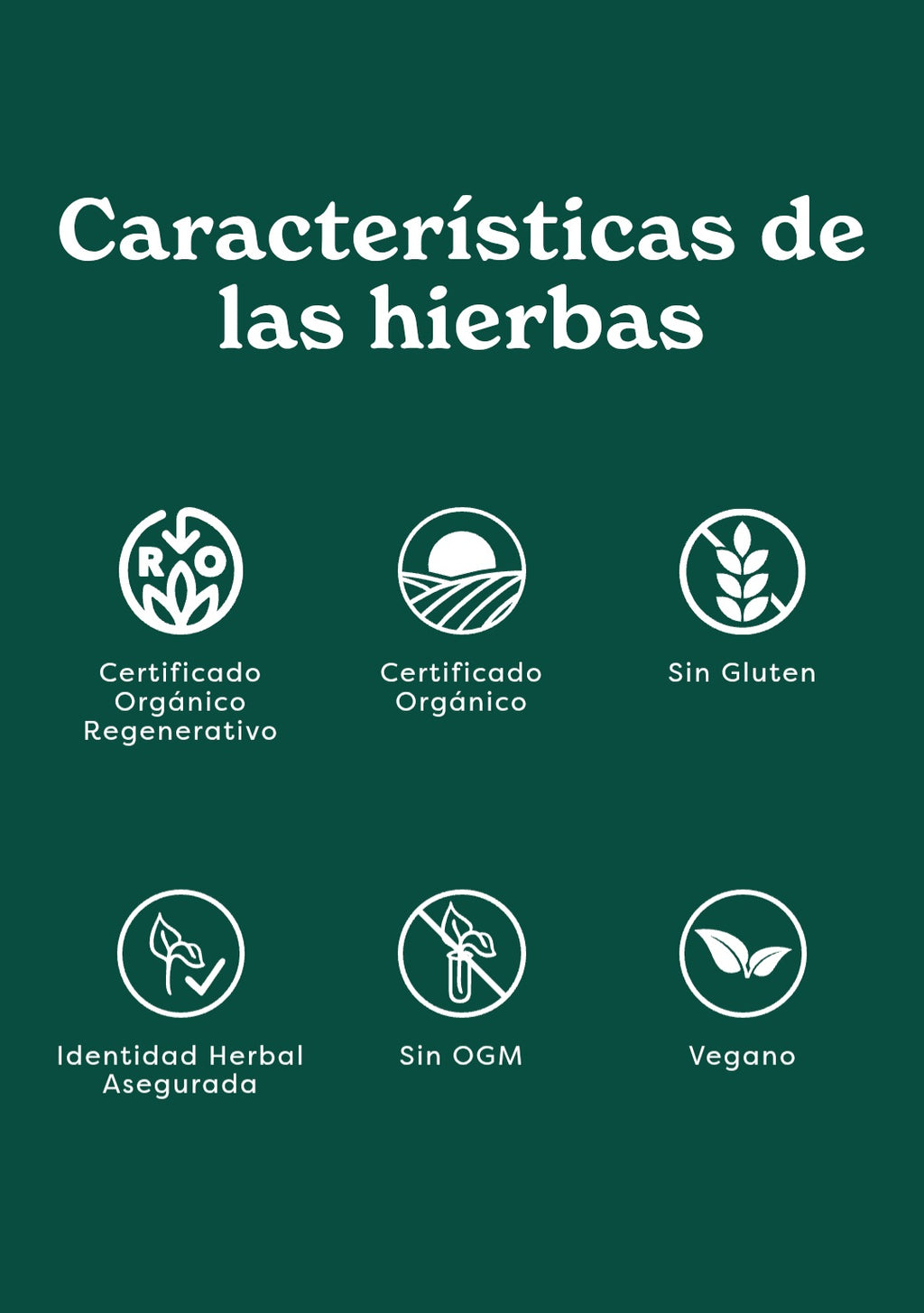 Alcachofa