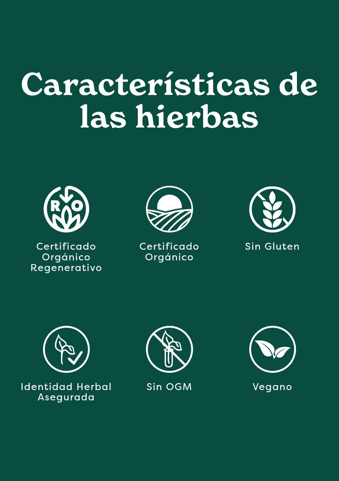 Alcachofa