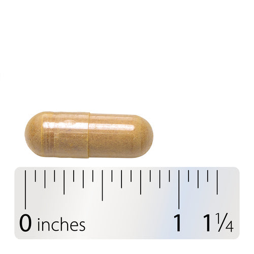 ALCACHOFA