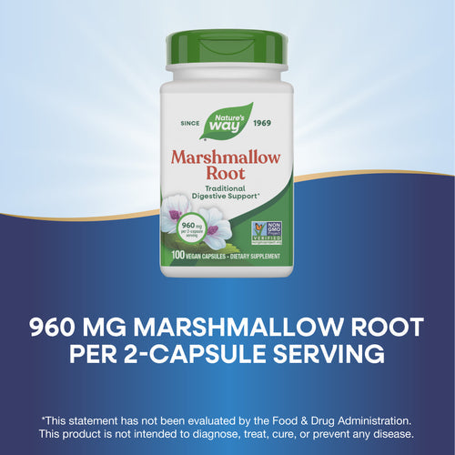 RAIZ DE MALVAVISCO