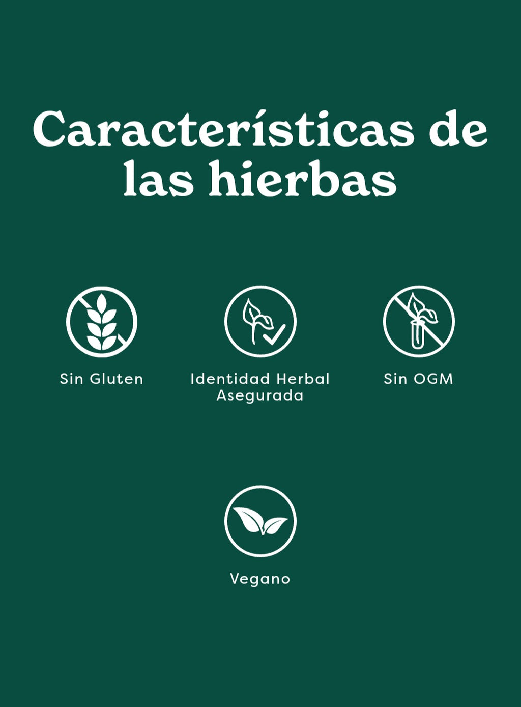 VITALIDAD MASCULINA