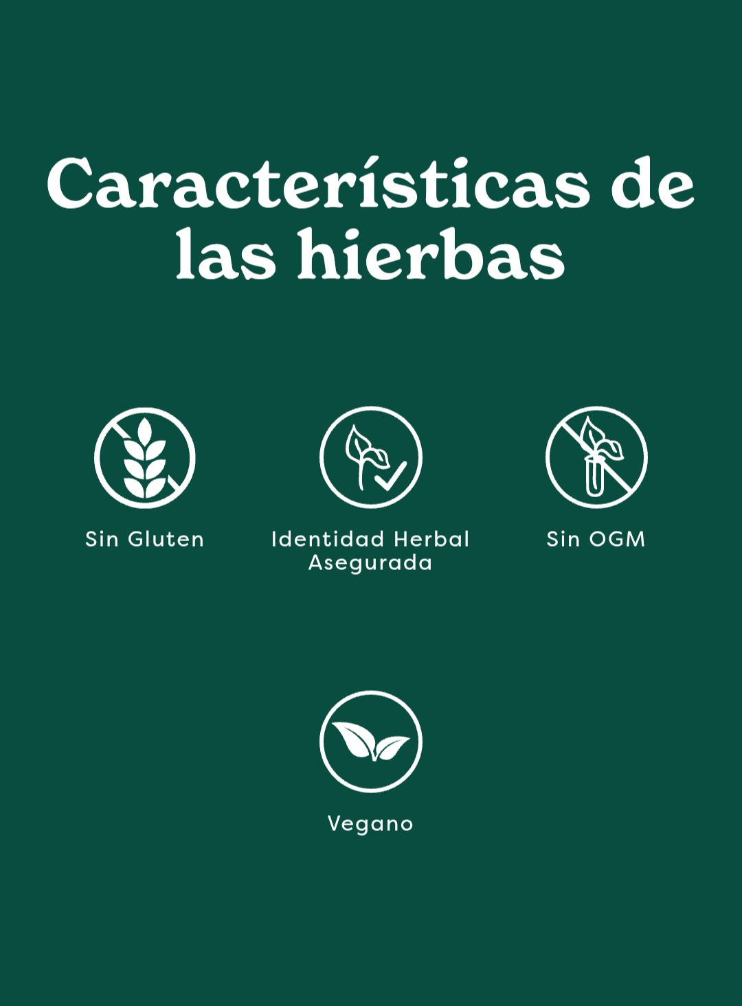 VITALIDAD MASCULINA