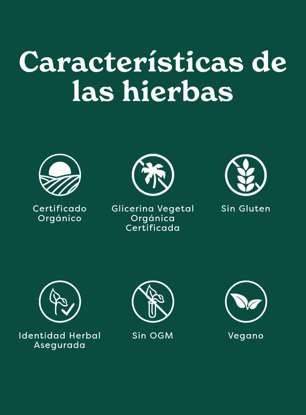 CINNAMON EXTRACTO 1 onza