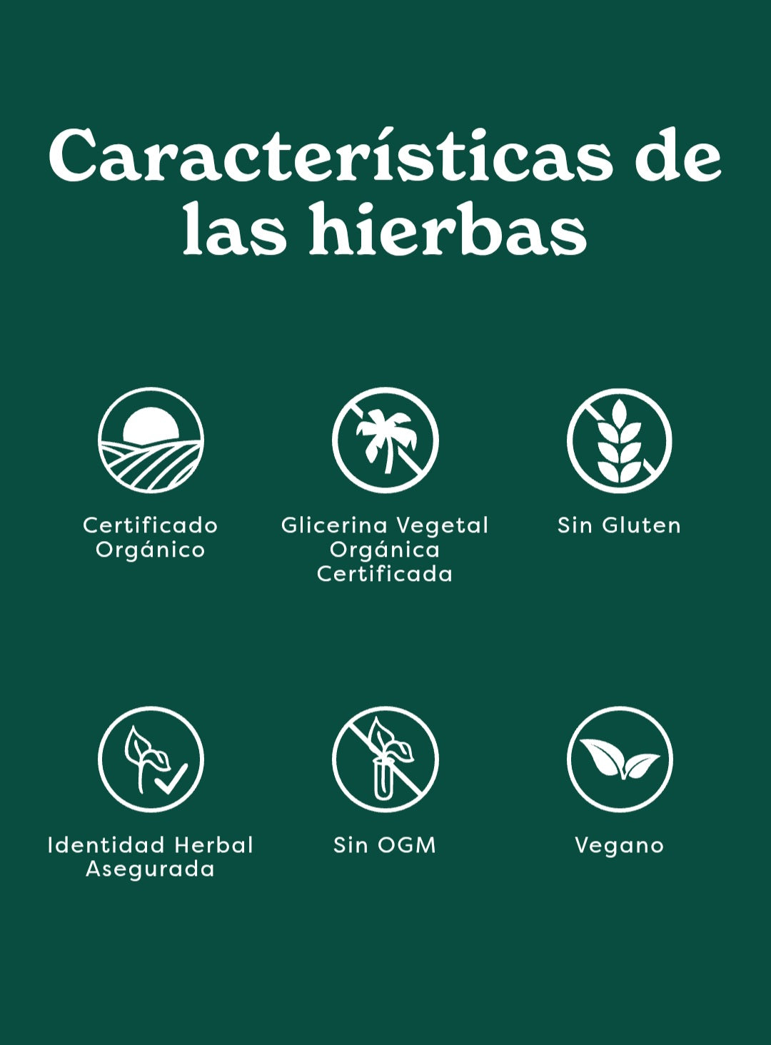 CINNAMON EXTRACTO 1 onza