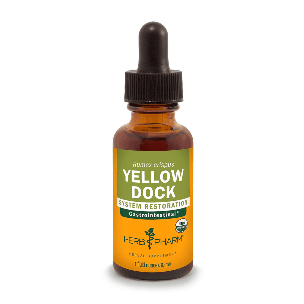 YELLOW DOCK