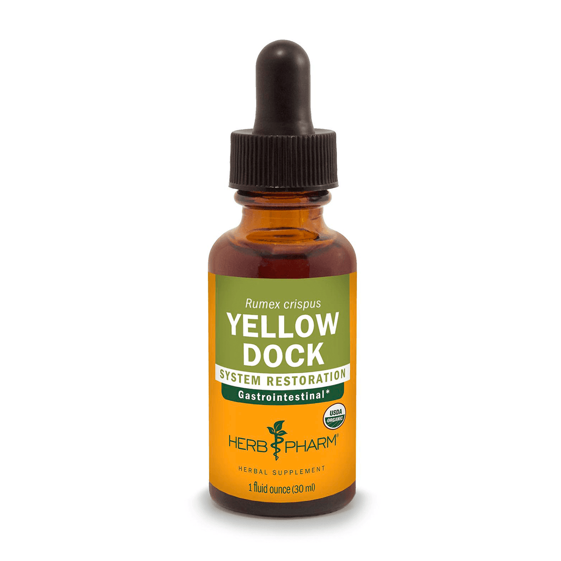 YELLOW DOCK