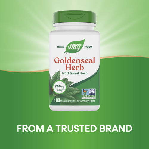 HIERBA SELLO DE ORO (GOLDENSEAL)