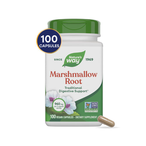 RAIZ DE MALVAVISCO