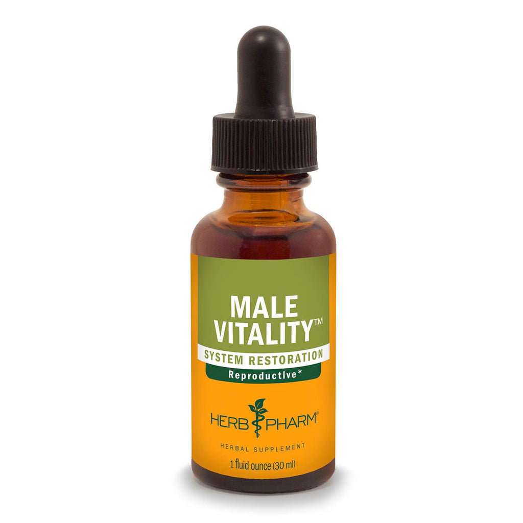 VITALIDAD MASCULINA