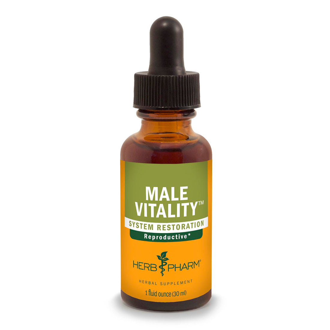 VITALIDAD MASCULINA