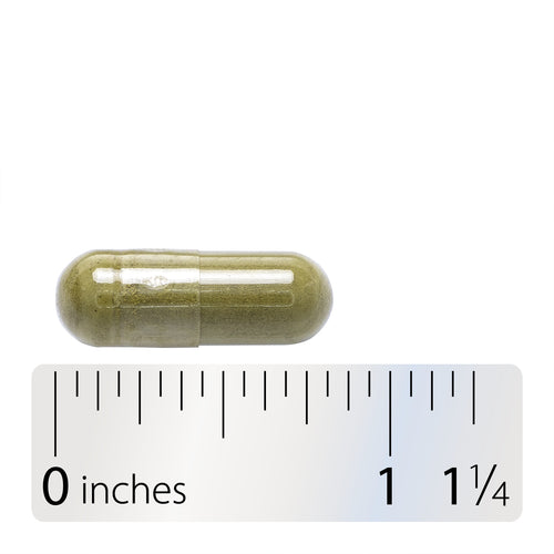 HOJAS DE PEREJIL