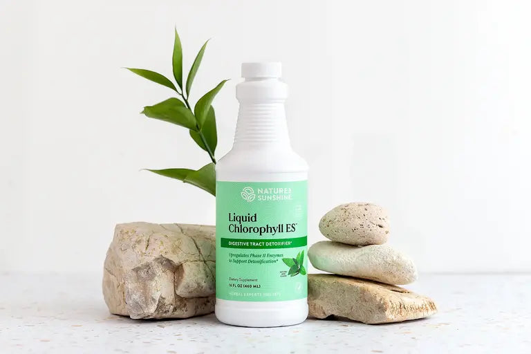 Clorofila líquida extrafuerte para la salud intestinal 16 oz
