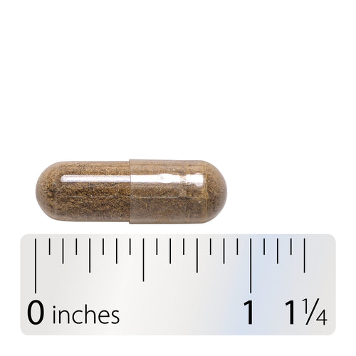 HOJAS DE FRAMBUESAS