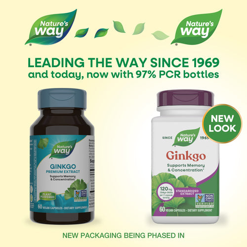 GINKGO BILOBA