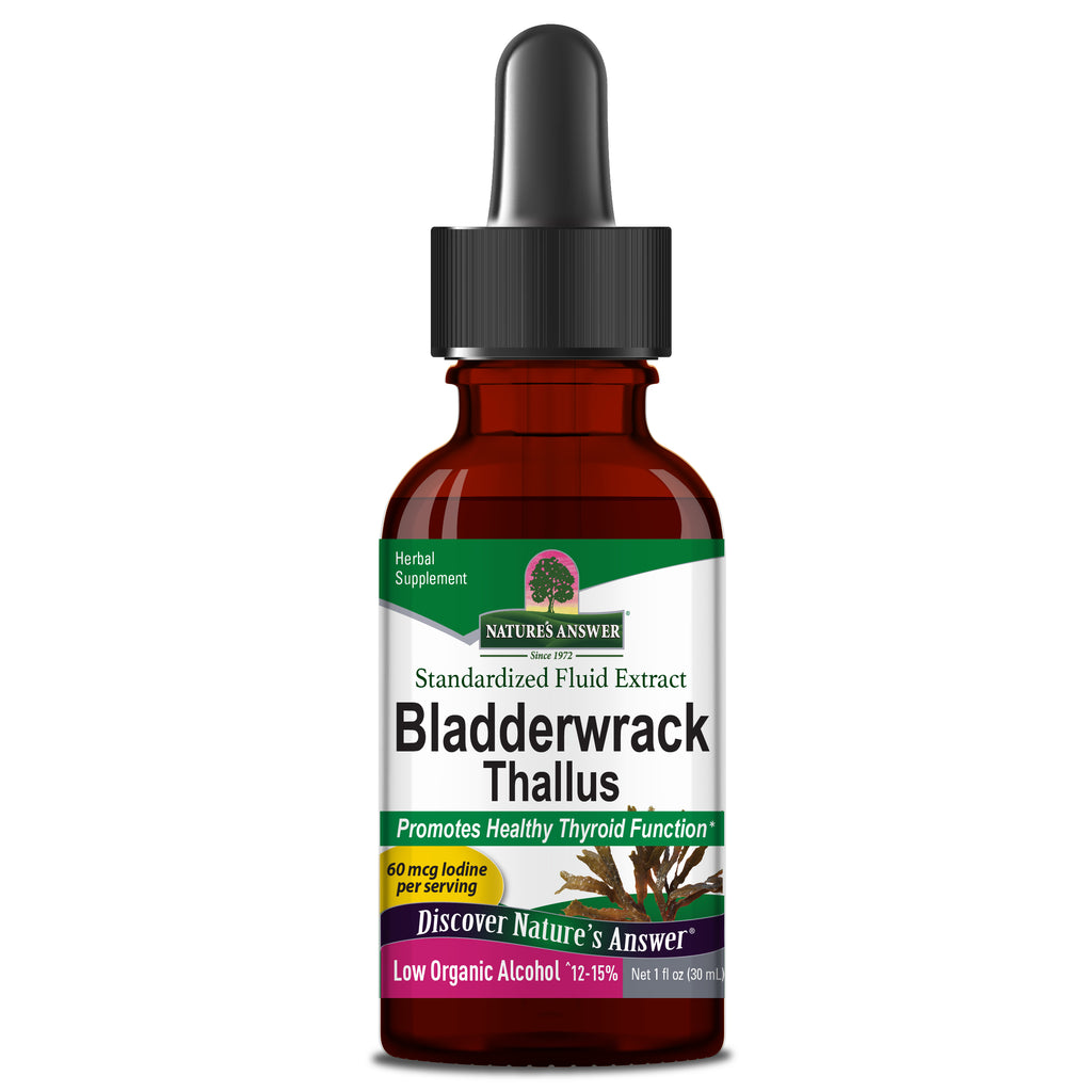 BLADDERWRACK TALLUS