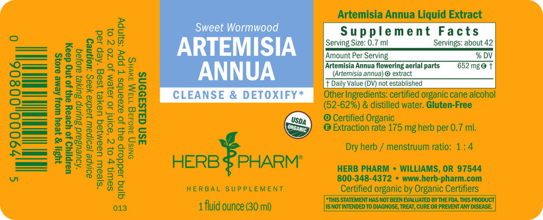 ARTEMISIA ANNUA