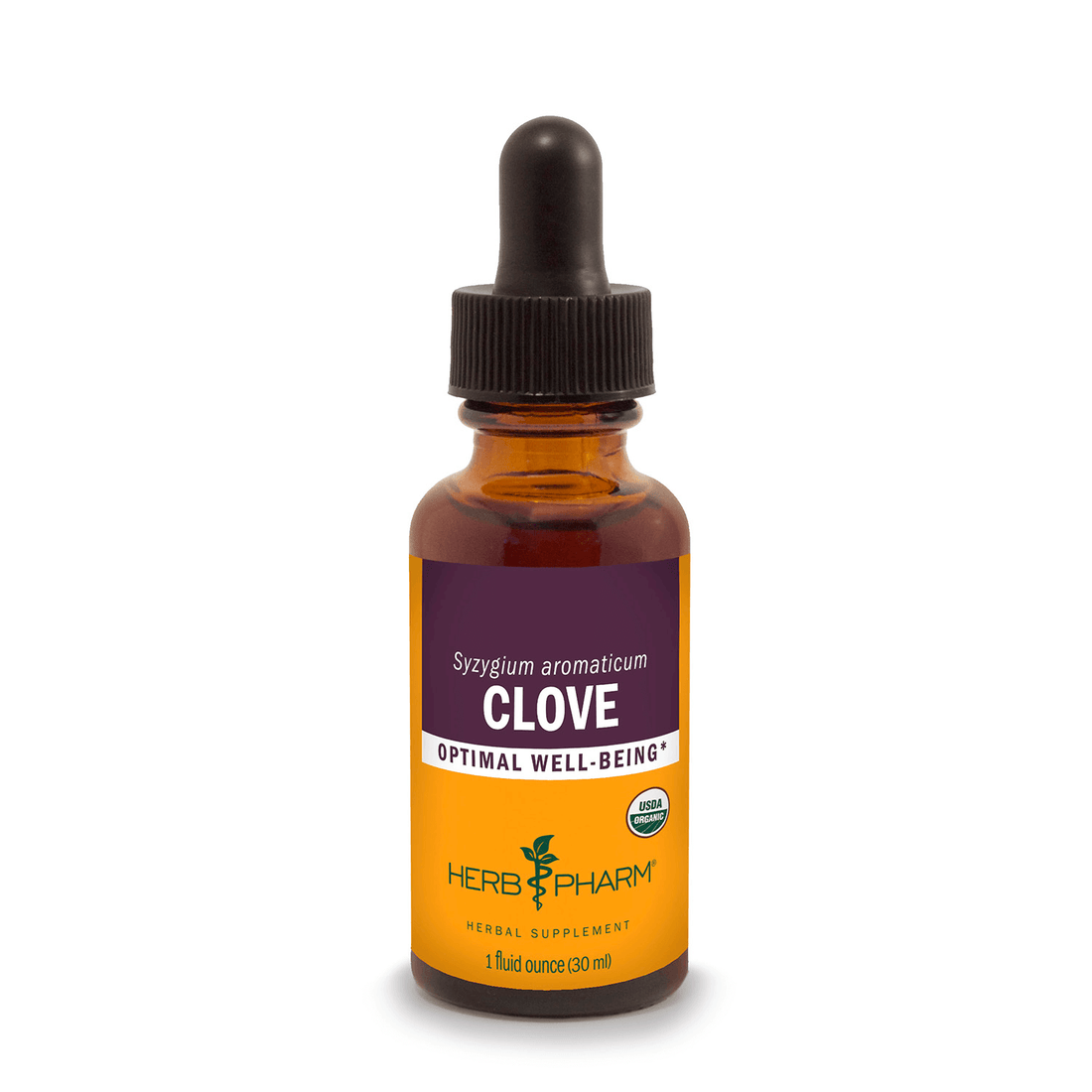 CLOVE