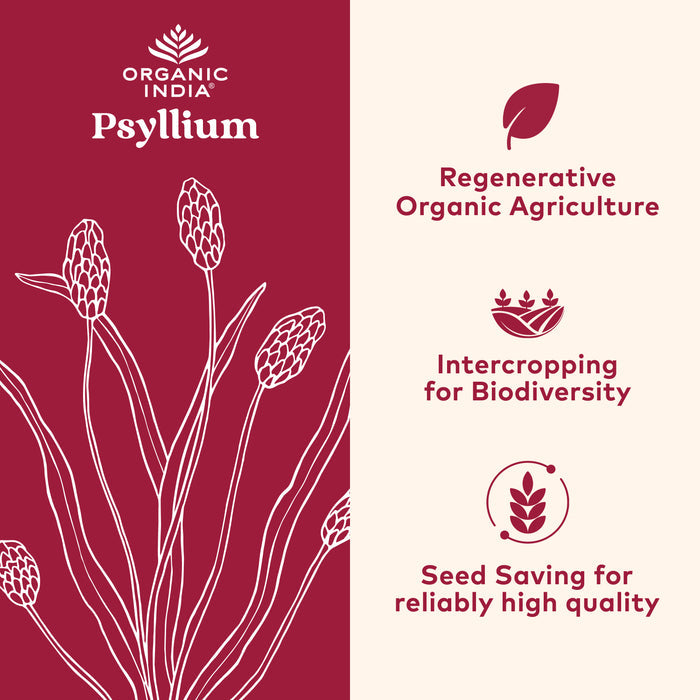 Fibra de cáscara entera de psyllium