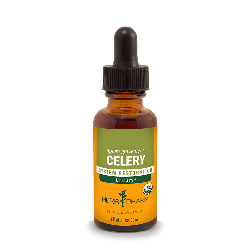 CELERY