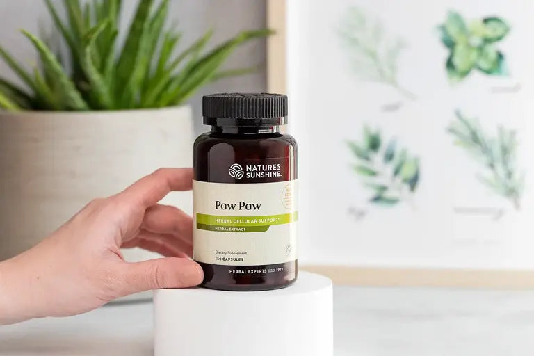 PAW PAW, Suplemento de papaya para el apoyo antioxidante a base de hierbas