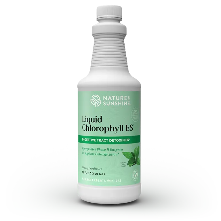 Clorofila líquida extrafuerte para la salud intestinal 16 oz