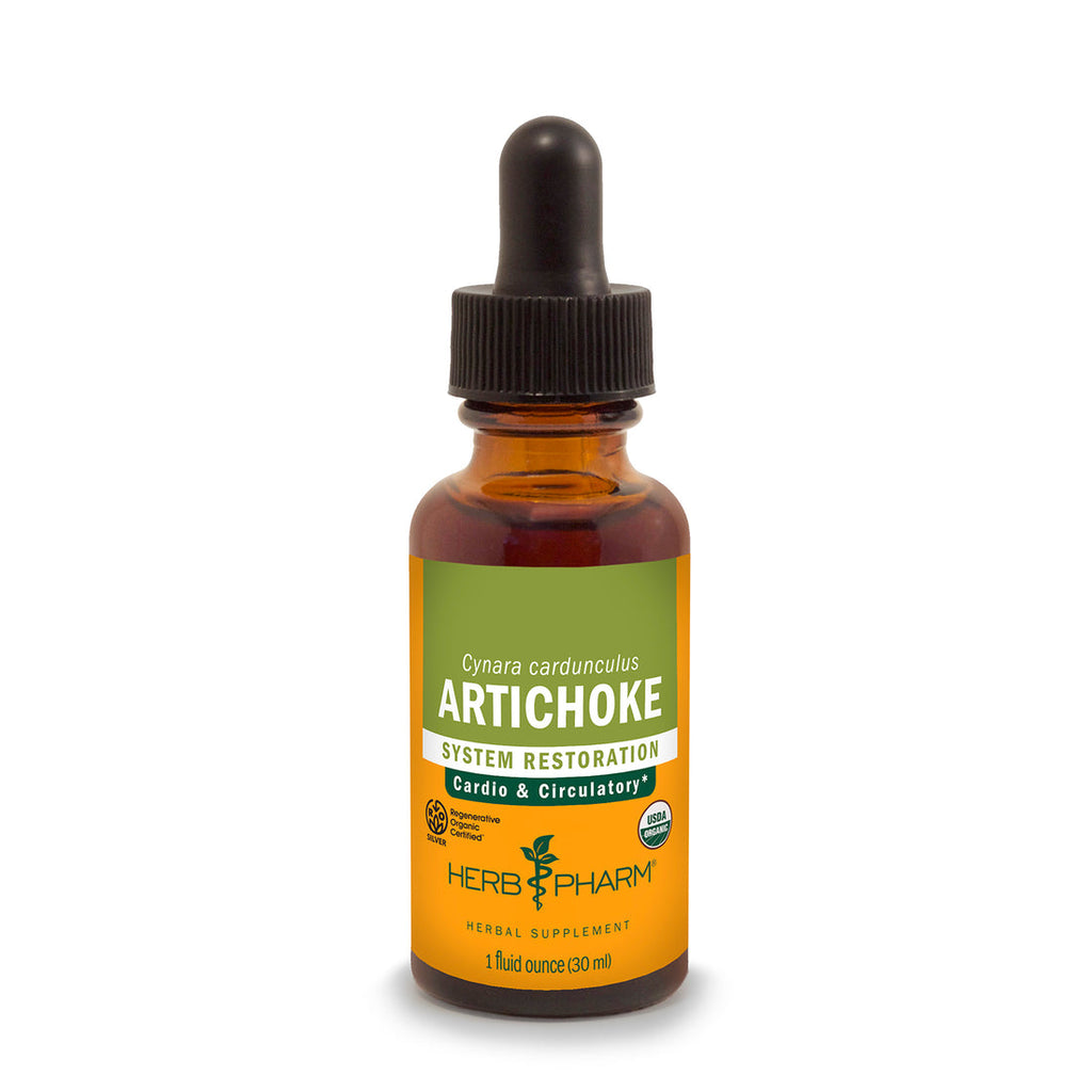 Alcachofa