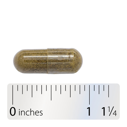 HIERBA ESCUTELARIA