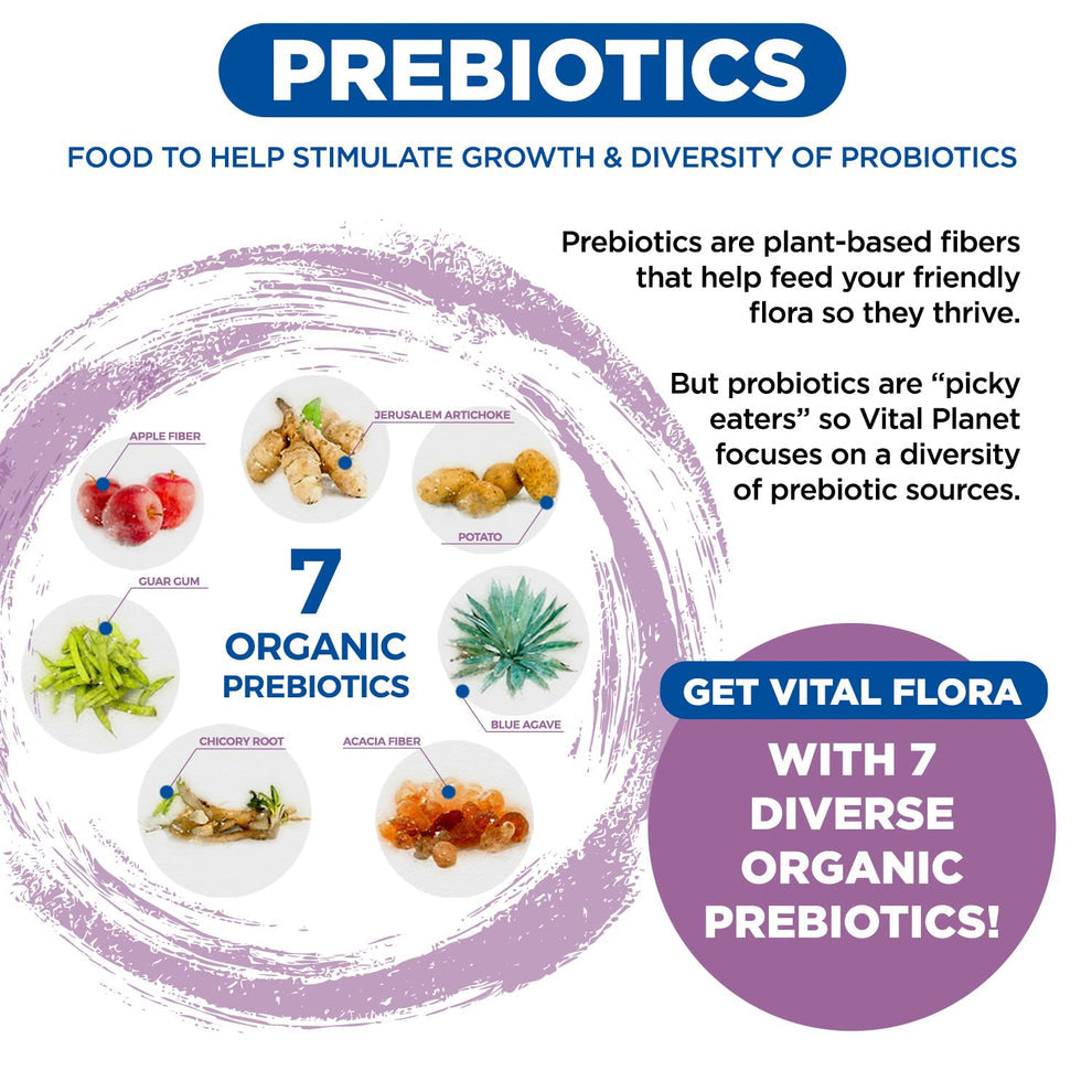 Probiótico diario para mujeres Vital Flora - Conservable