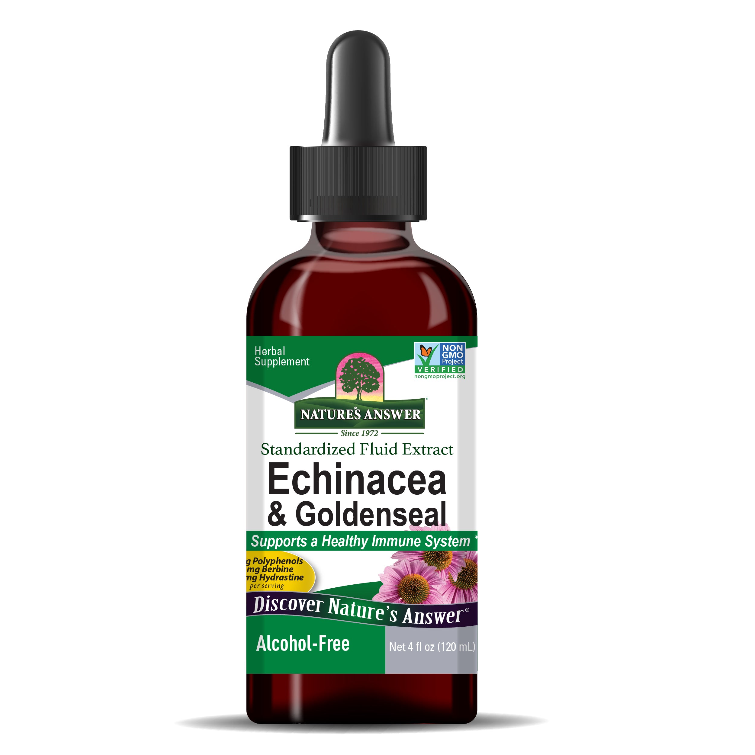Equinácea y sello de oro sin alcohol 4 oz