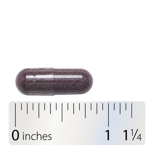 BILBERRY
