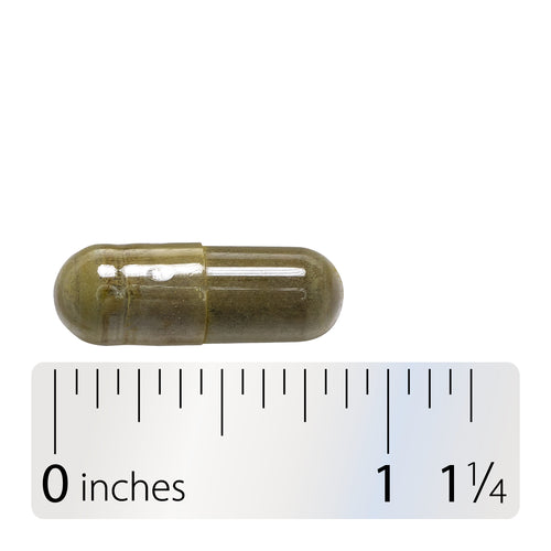GYMNEMA EXTRACT