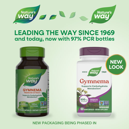 GYMNEMA EXTRACT