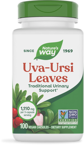 HOJAS DE UVA URSI