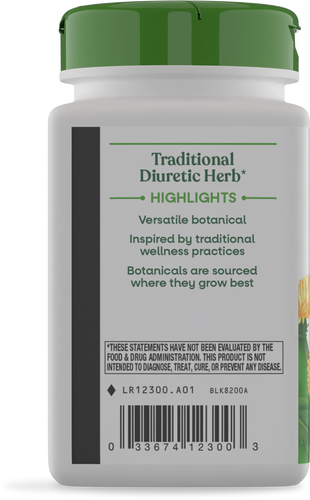 RAIZ DE DIENTE DE LEON