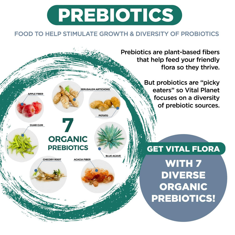 Probiótico para hombres Vital Flora - Conservable