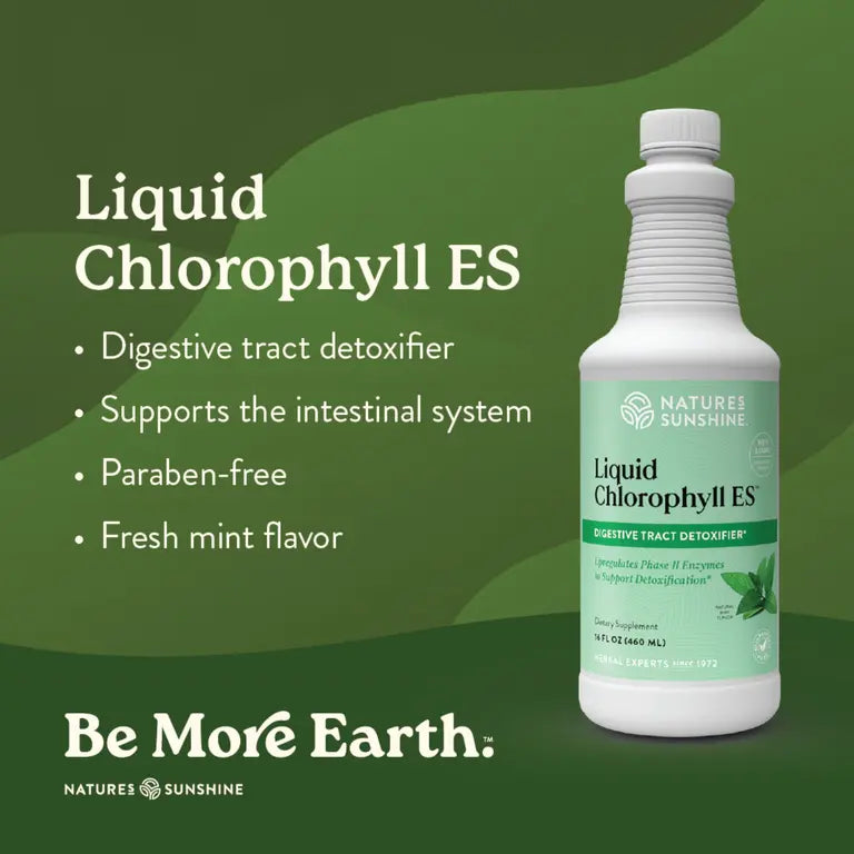 Clorofila líquida extrafuerte para la salud intestinal 16 oz