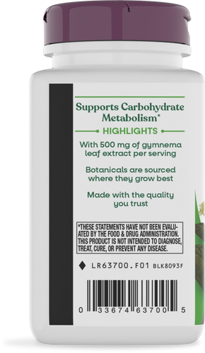 GYMNEMA EXTRACT