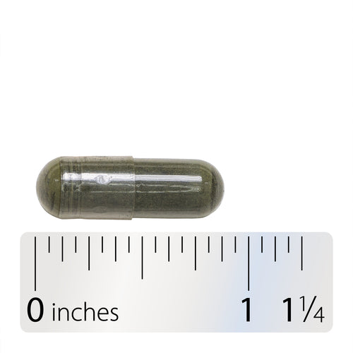 HOJAS DE ORTIGA